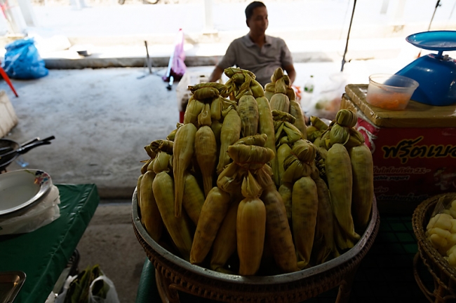 Talin chan-NOV13-011